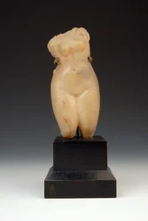 Torso einer nackten Frau